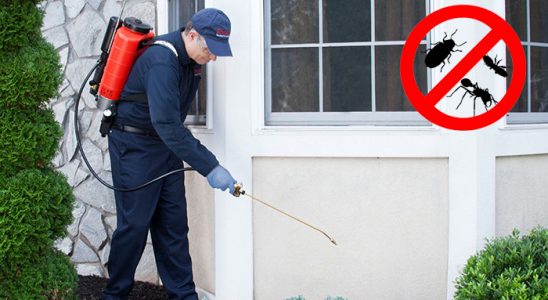 Bostanlı Kene İlaçlama böcek ilaçlama ve haşere kontrolü — ilaclama-tr.com